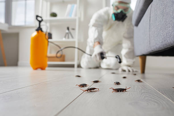 Commercial Kitchen Cockroach Control in Berea